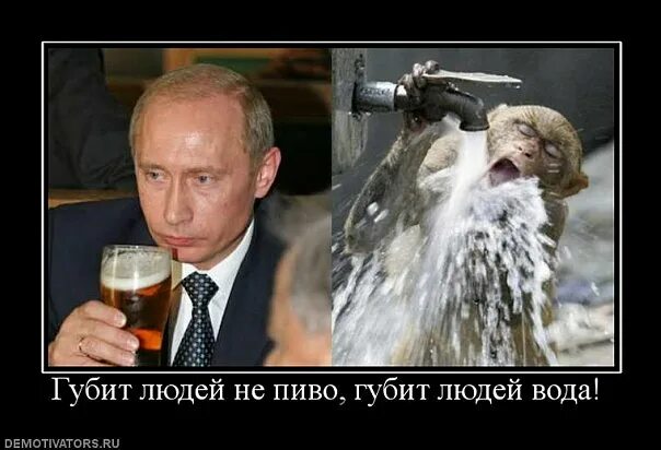 Песня губит не пиво губит вода