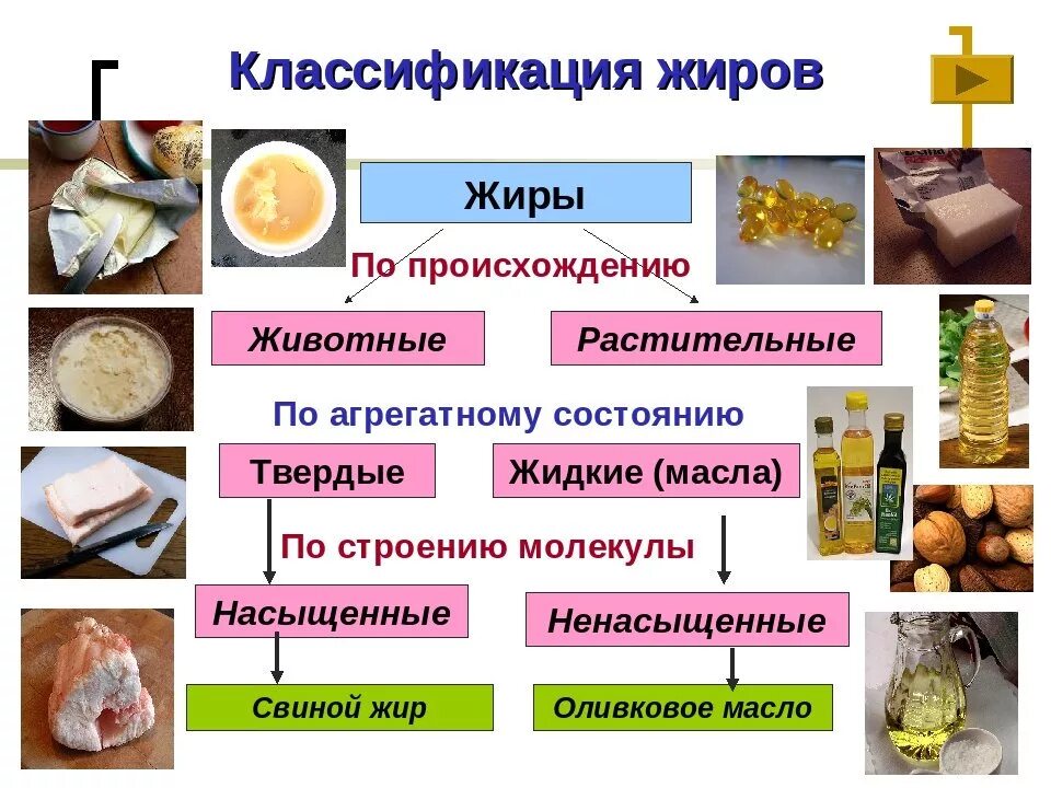 Какие продукты съедают жир. Растительные и животные жиры. Жиры животного происхождения. Жиры животного и растительного происхождения. Жиры животного происхождения продукты.