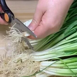 Как хранить свежий зеленый лук