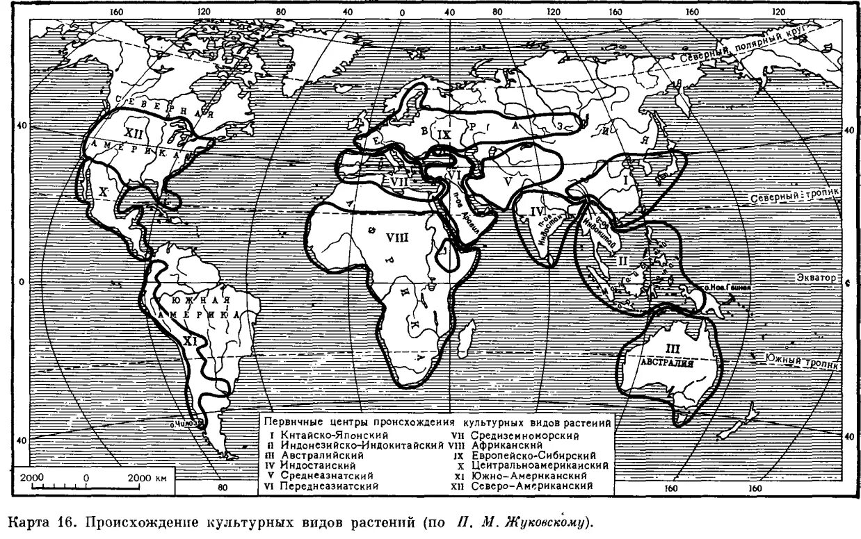 Вавилов центры происхождения культурных растений карта. Вавилов карта происхождения культурных растений. Центры происхождения культурных растений н и Вавилова. Сколько центров происхождения культурных