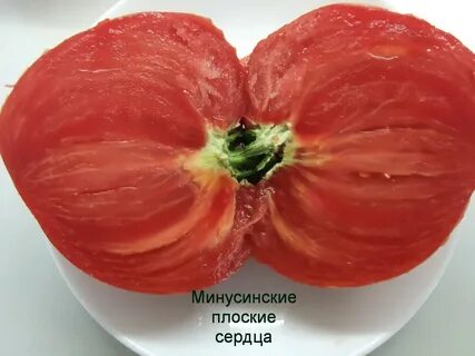 Помидор минусинское сердце