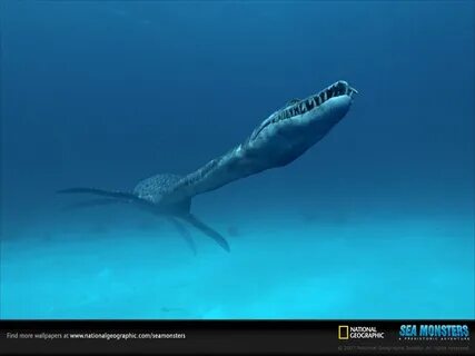 Чудовища морских глубин реальные фото
