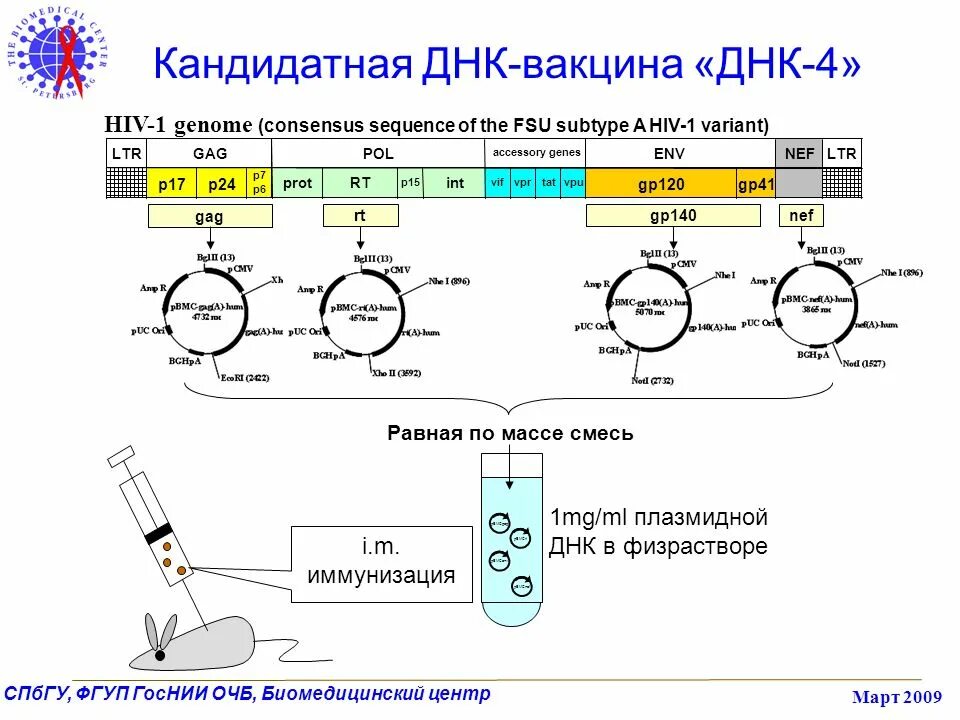 Генная вакцина. ДНК-вакцина. Методы получения ДНК вакцин. Строение ДНК вакцины. Генетическая иммунизация.