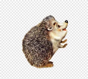 Ежик пнг