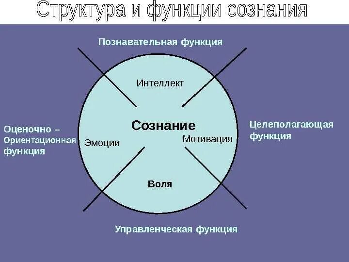 Структура сознания. Сознание структура сознания. Схема сознания человека. Сознание человека. Структура сознания..