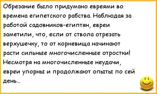 Еврей выдумал язык чтобы выжить. Анекдоты про обрезание члена. Анекдот про обрезание во-первых это красиво. Египетское обрезание у женщин.