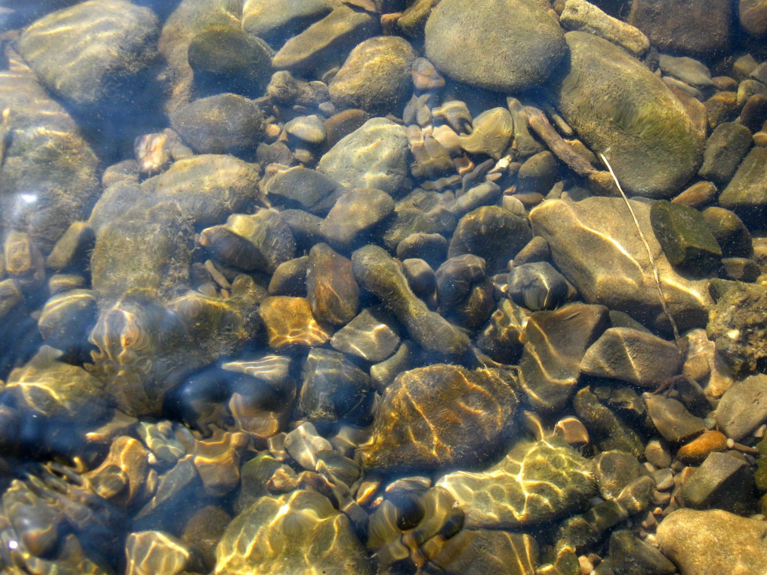 Речное дно. Галька в воде. Камни под водой. Камни на дне моря.