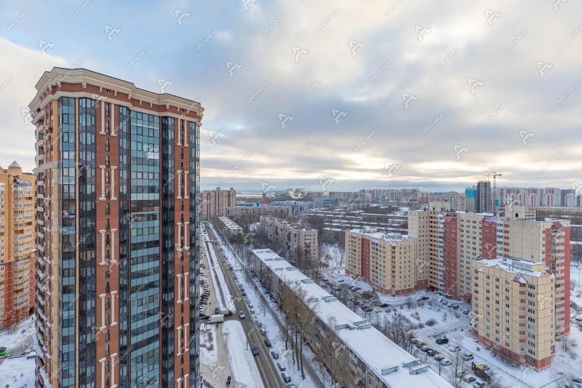 Пулковская 8к1 новая династия. Ул пулковская 14. Пулковская 14. Новая династия спб. Пулковская 8 к 4 санкт-петербург.