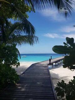 Reethi beach отзывы