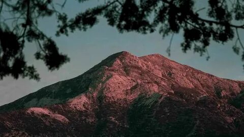 Mountain branch