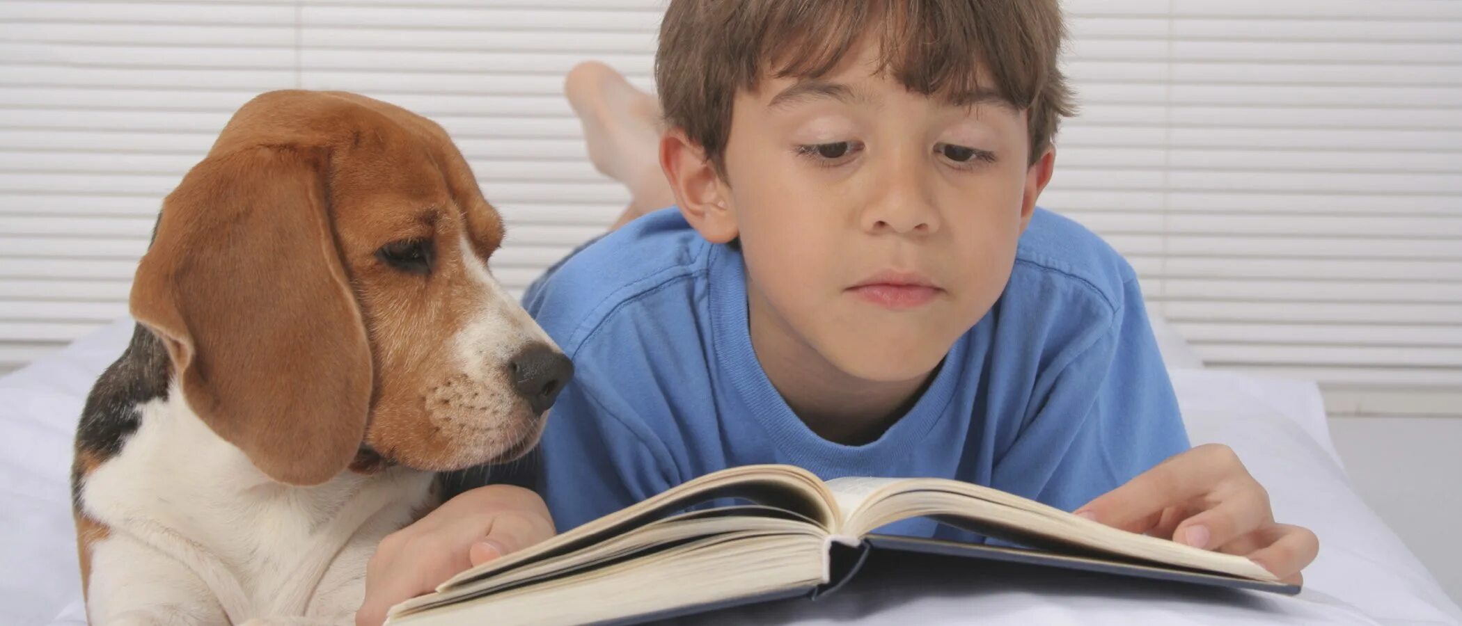 Ребенок для зверя читать. Собака для детей. Собака с книжкой. Ребенок читает книгу. Дети чтение собаки.