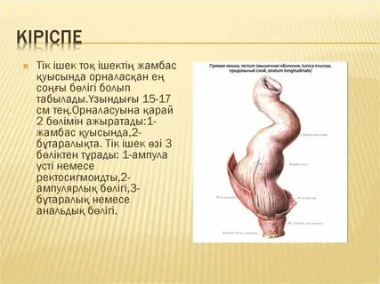 Ежелгі секс сағаты