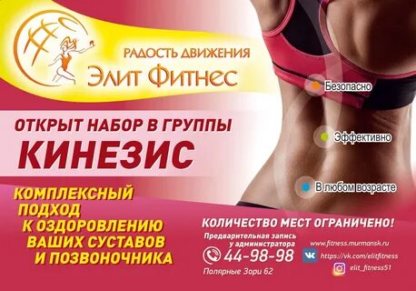 Кинезис брянск телефон