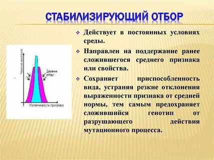 Естественный отбор его направляющая