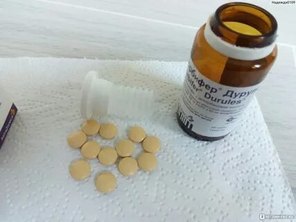Сорбифер фолиевая