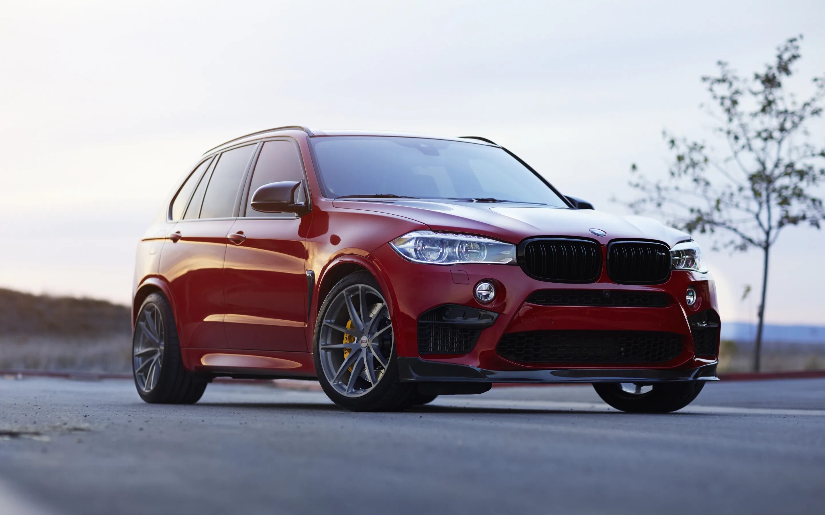 Х 5 сайт. BMW x5 f85. БМВ x5m 2018. BMW x5 f85 Tuning. BMW f85 Red.