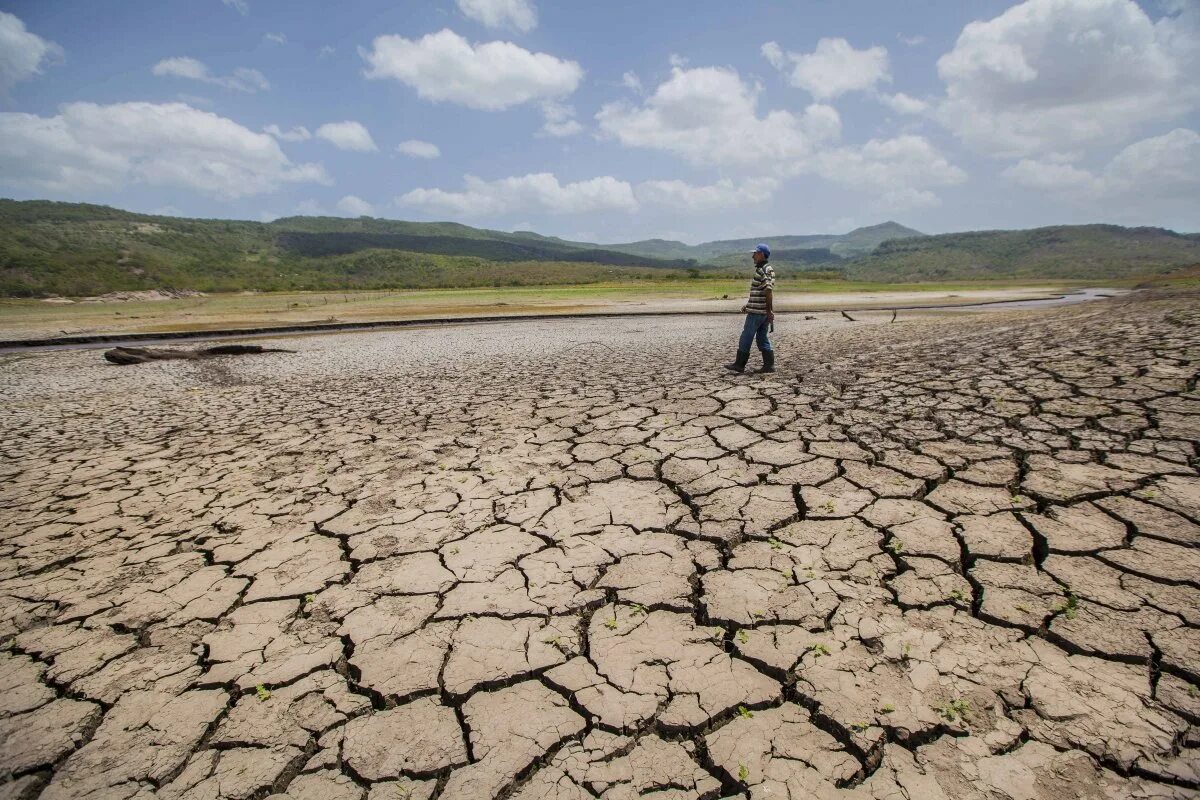 Засуха. Атмосферная засуха. Засуха это стихийное бедствие. Засуха в природе.
