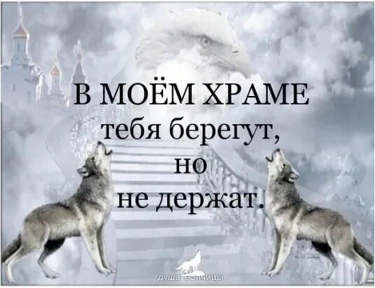 Не держи никого пусть уходят это их выбор. Не держу никого пусть уходят. Не держи уходящее. Уходя из моей жизни статусы. Цитаты.