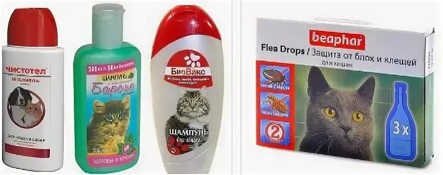 Кормящая кошка блохи