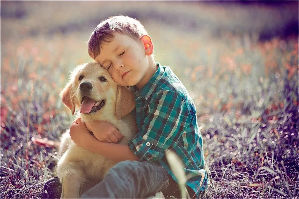 Люди и звери сюжет. Собака друг человека. Мальчик с собакой. Мальчик обнимает собаку. Собака для детей.