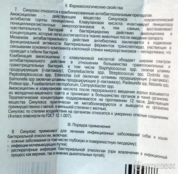 Как пить амоксициллин до еды или после. Ветеринарный антибиотик амоксициллин. Амоксициллин лекарство для собак. Антибиотик для животных амоксициллин. Амоксициллин суспензия для собак.