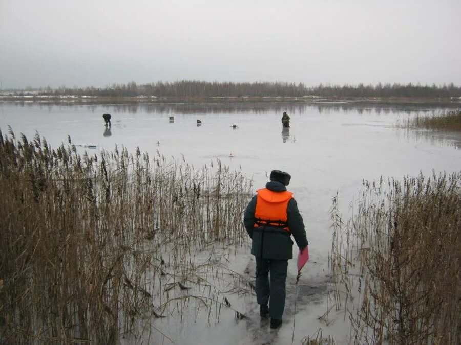 Фион 64. Криминальные водоемы Смоленской области. Водоём Шмаково. Шмаково Смоленская область. Шмаково Смоленская область озеро.