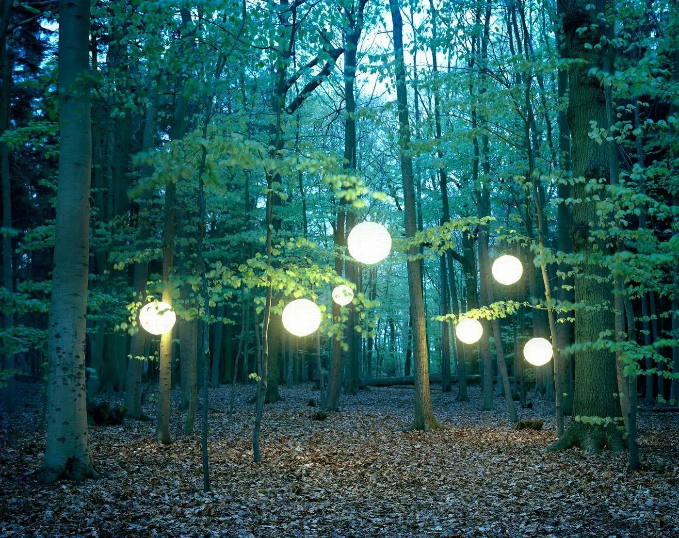 Дерево с фонариками. Фонарь в лесу. Освещение в лесу. Подсветка сосен.