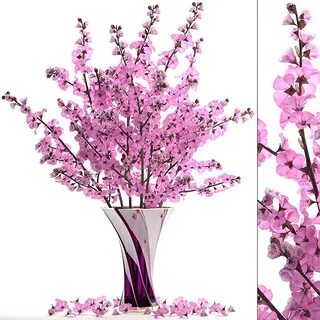 Sakura models