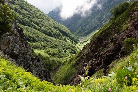 Ландшафт краснодарского края