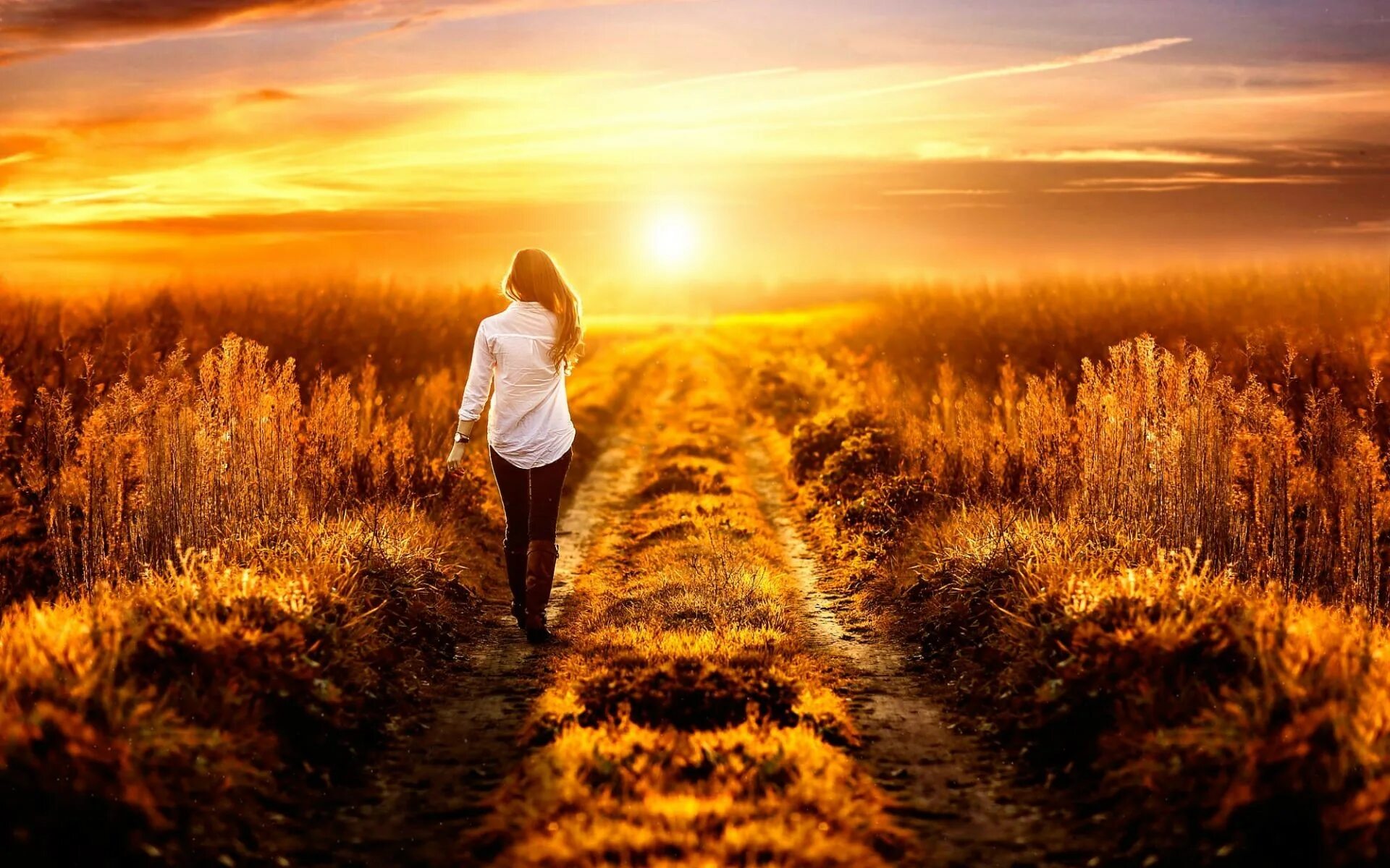 Встречать рассвет. Силуэт человека на закате. Со спины на закате. Уходит в закат. Закат девушка природа.