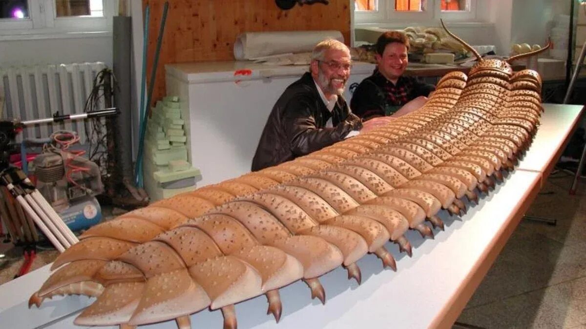 Прыжок кенгуру в длину. Достигать 5 метров в длину. Рост динозавров по сравнению с человеком. Многоножка артроплевра. Гигантская многоножка арт.