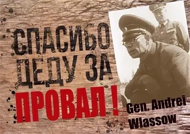 Представленные здесь
