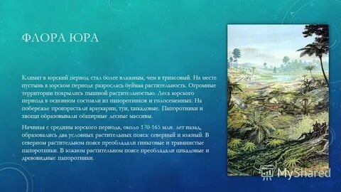 Юра период