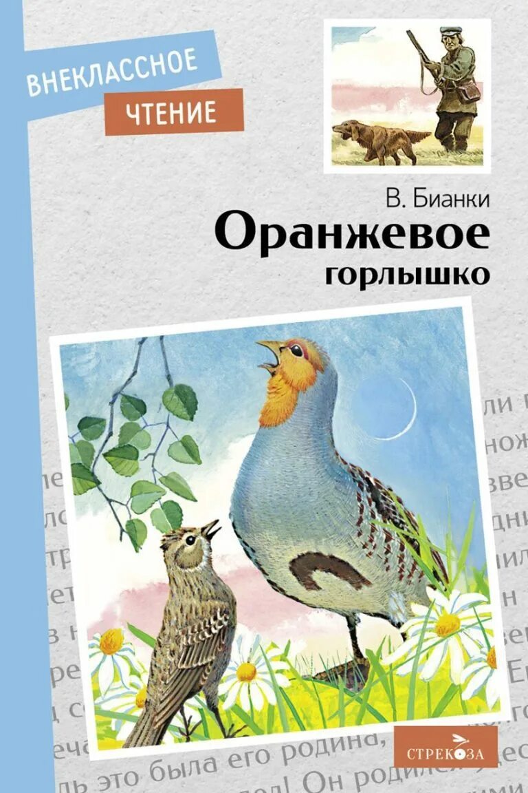 Бианки оранжевое горлышко книга. Бианки в. "оранжевое горлышко". Бианки оранжевое горлышко рисунок. В в бианки оранжевое горлышко мурзук