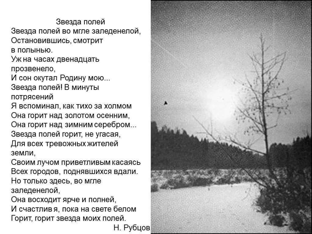 Прочитай стихотворение рубцова. Стихотворение н.м. Рубцова "звезда полей". Звезда полей рубцов стих.