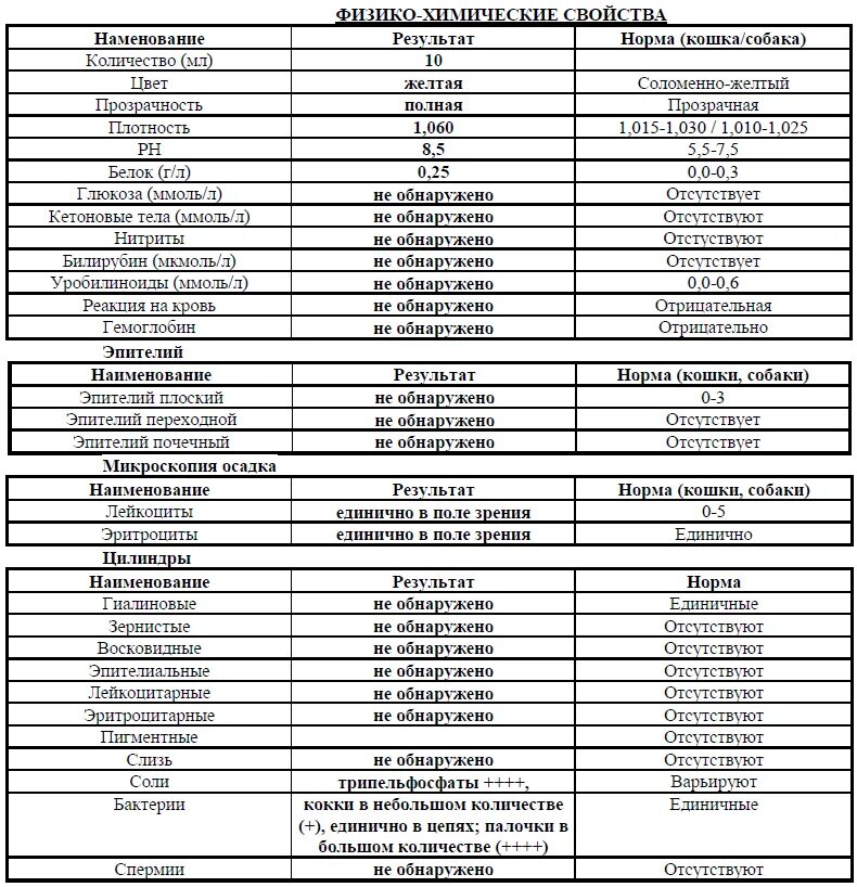 Анализ мочи патологии. Анализ мочи у котов норма. Общий анализ мочи у кошки нормальные показатели. Показатели микроскопического исследования мочи в норме. Общий анализ мочи норма анализов.