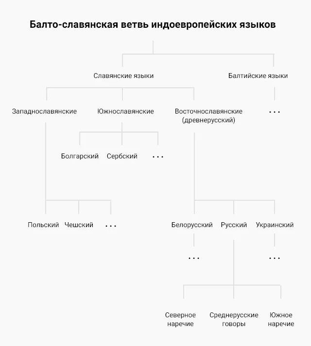 Славянская ветвь языков