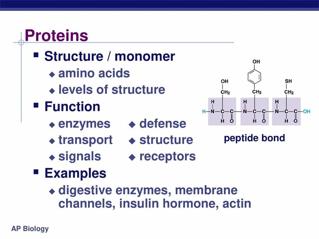 Struct function. Protein structure. protein structure and function. proteins in structure. amino acid protein.