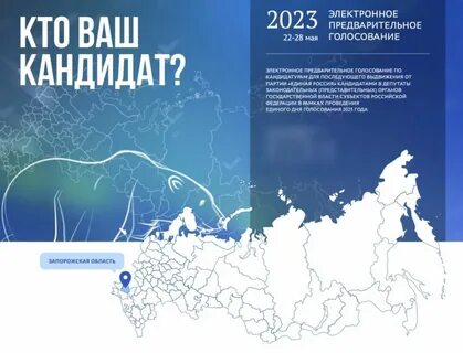Кто участвует в выборах ответ