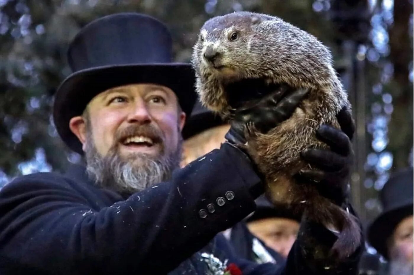 Сурок фил 2023. Сурок панксатони фил. Сурок панксатони фил. Сурок фил 2023. Панксатони день сурка.