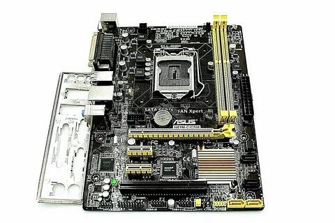 Asus h81m c