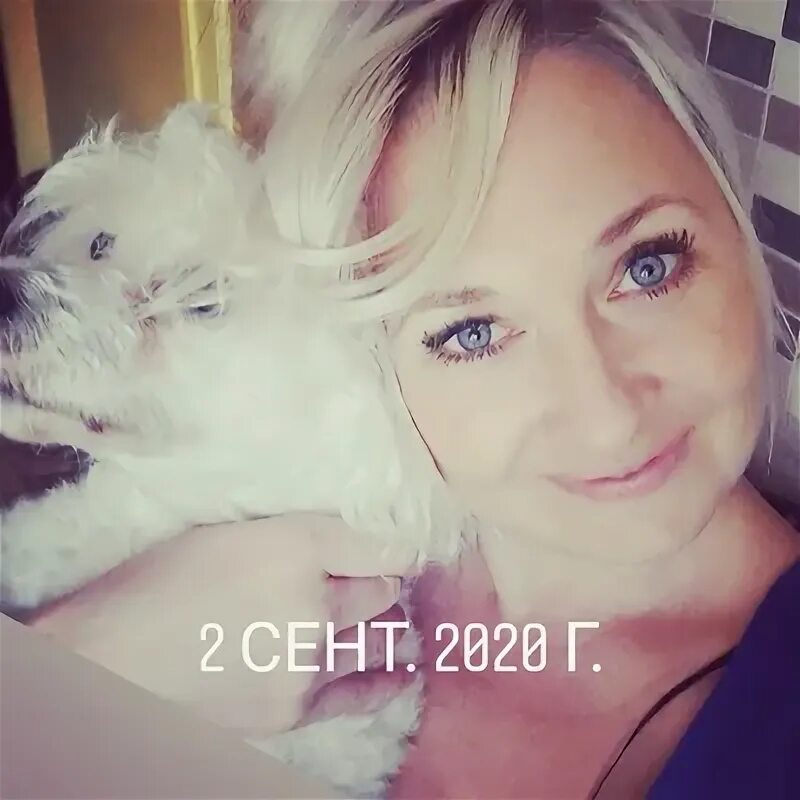 Id310244344. Id310244344. Id470406580. Id310244344. Id423695710.