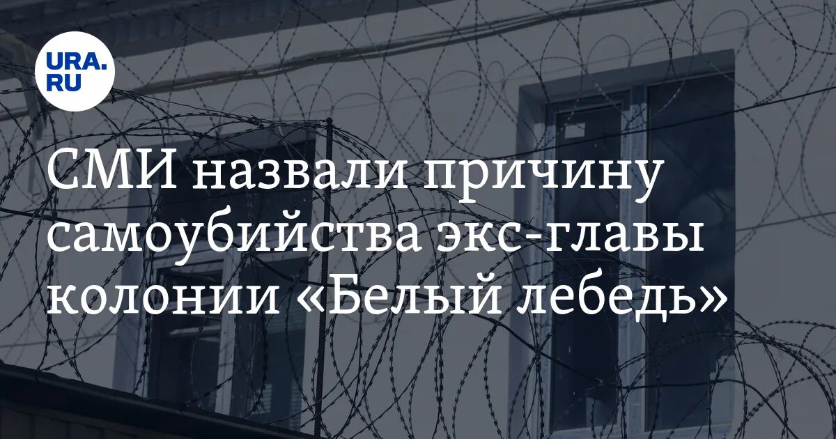 Начальник колонии белый лебедь. Застрелился начальник колонии белый лебедь. Черный лебедь застрелился.