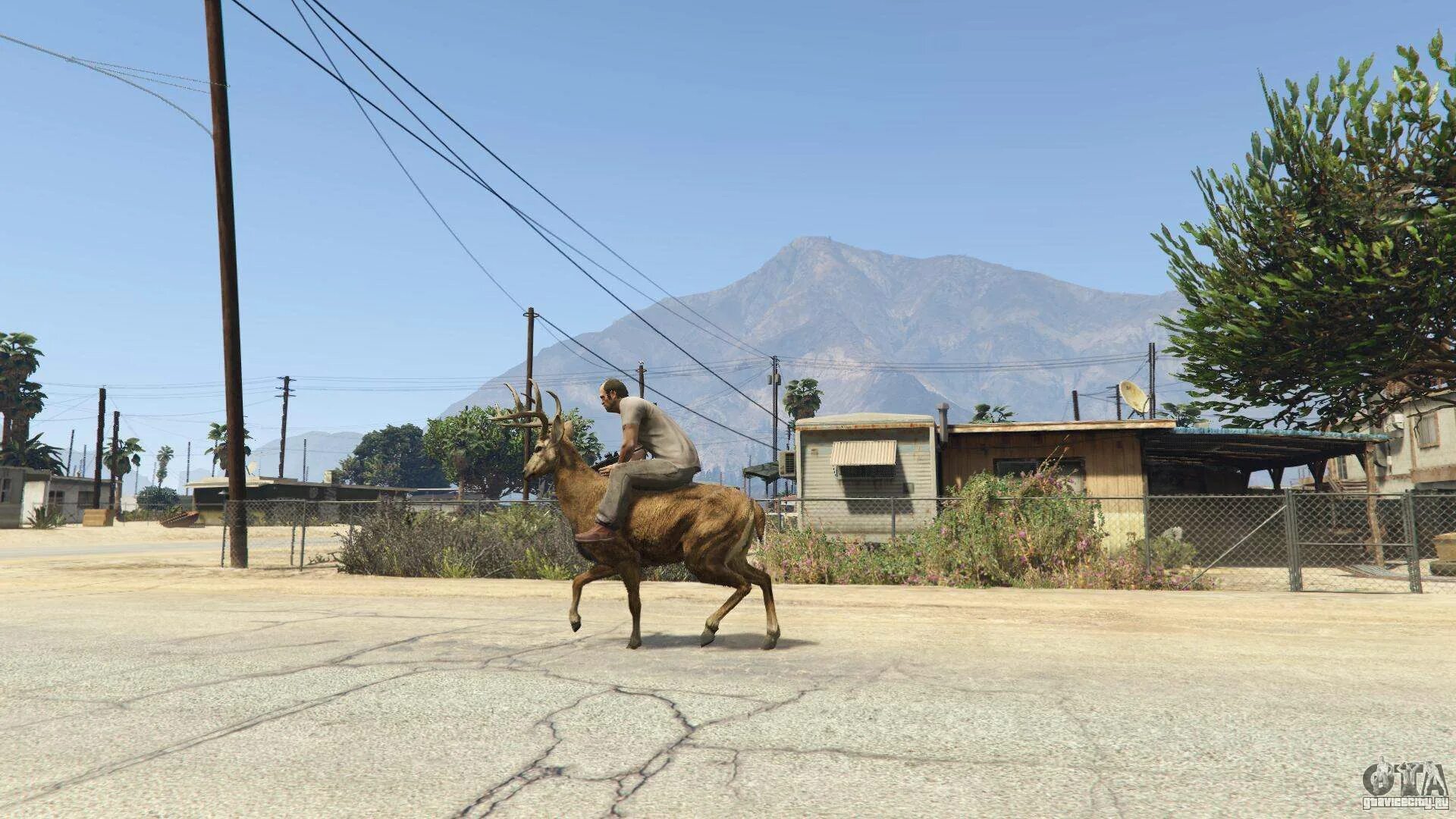 Asi loader rdr