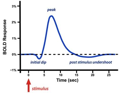 Function response