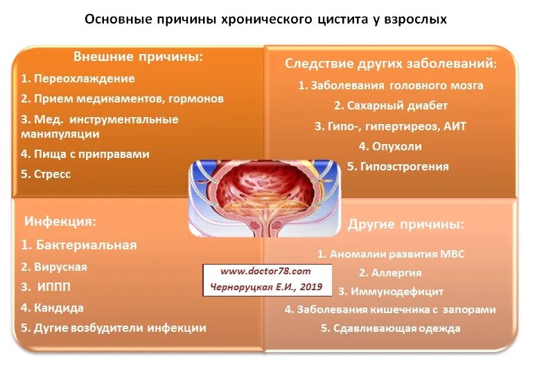 Цистит у мужчин симптомы и лечение. Цистит у женщин. Причины хронического цистита у женщин. Хронический цистит симптомы.