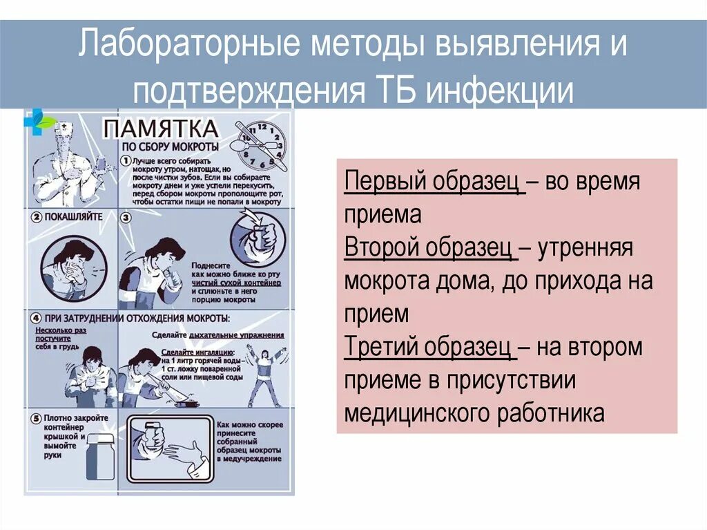 Памятка по сбору мокроты на туберкулез. Исследование мокроты памятка. Памятка как собрать мокроту на исследование. Сбор мокроты на туберкулез памятка. Подготовка пациента к сбору мокроты