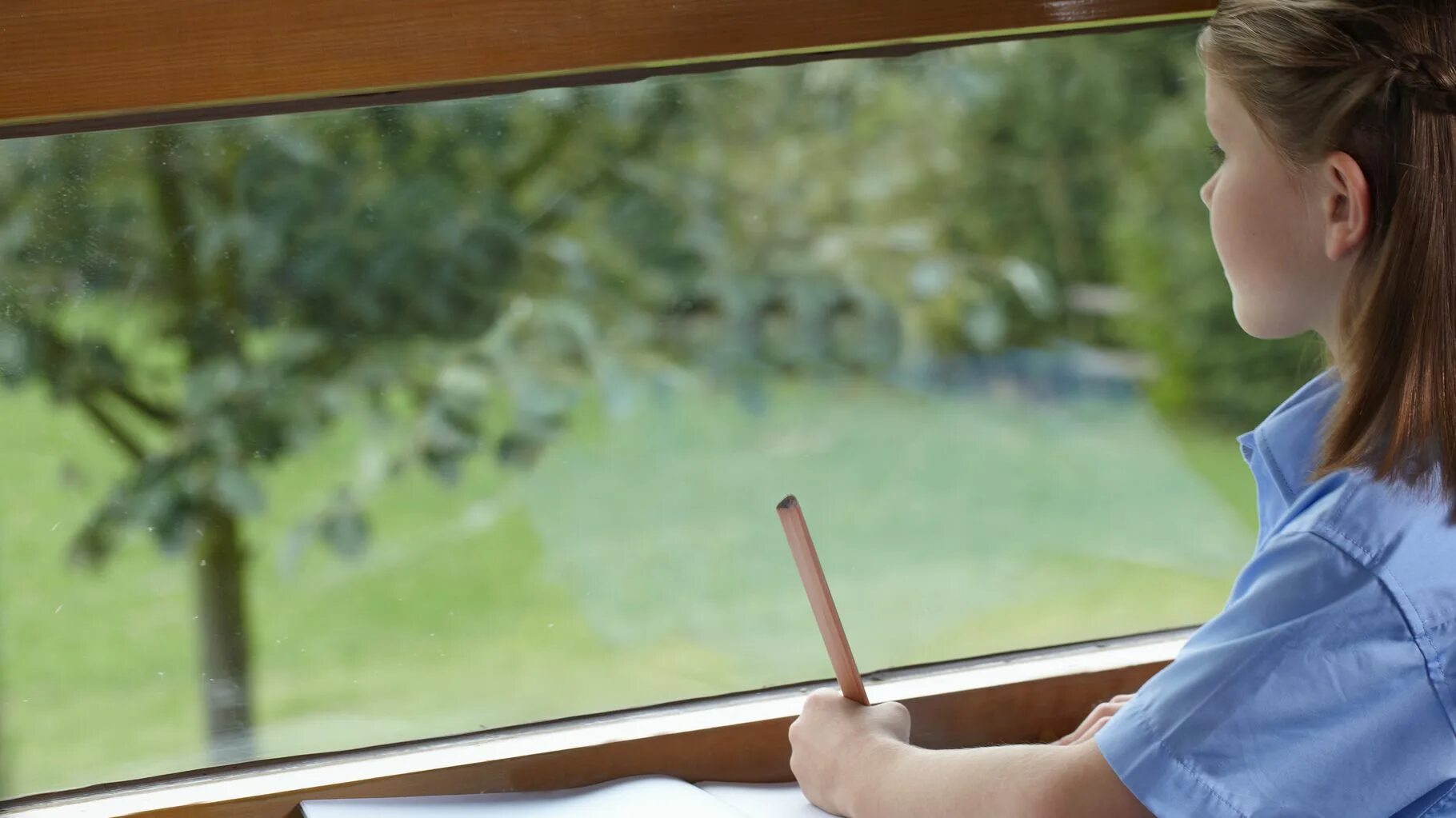 The windows in the classroom. Окно в классе истории. classroom window.