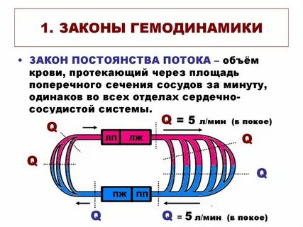 Процесс гемодинамики