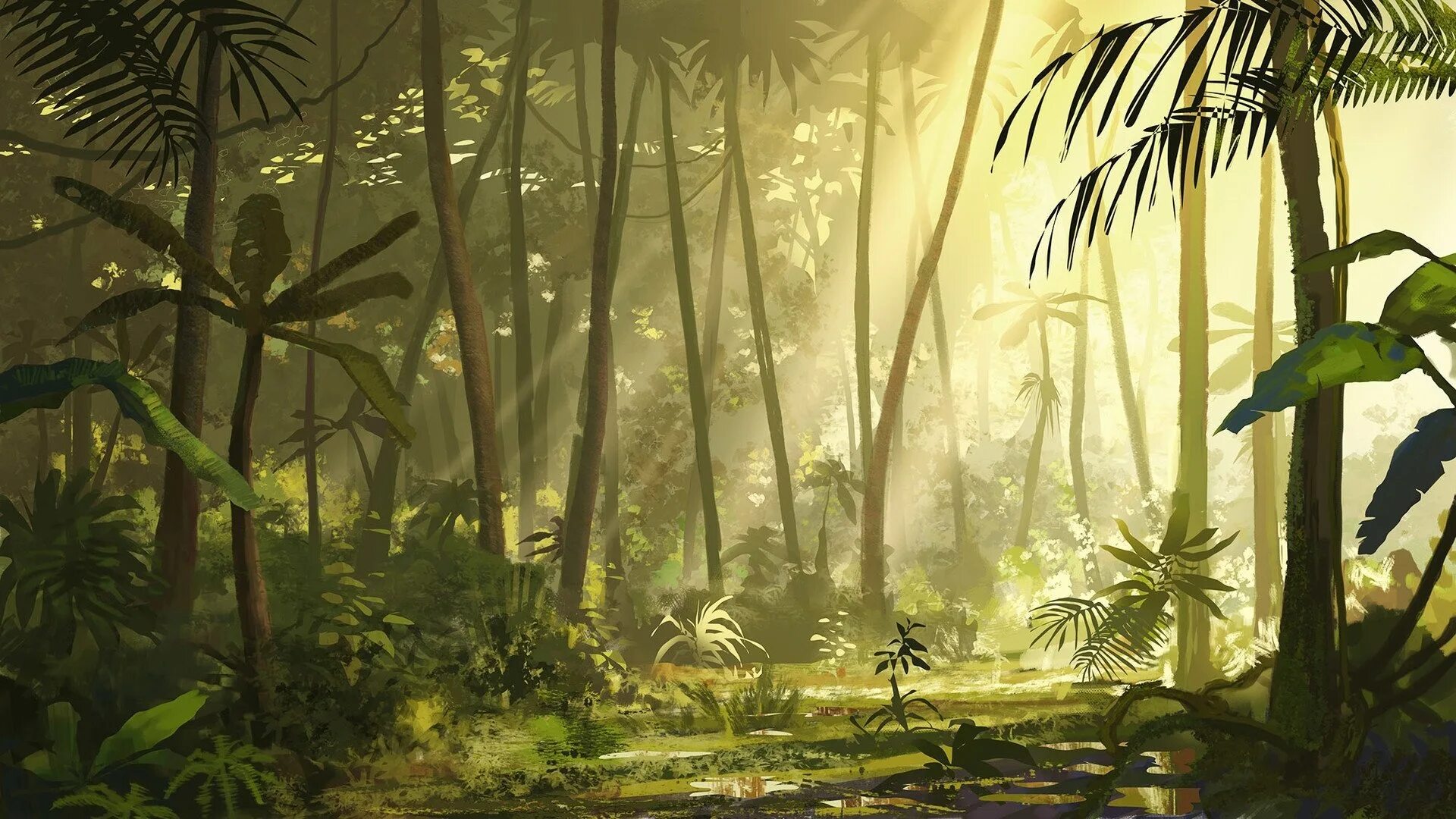 Jungle downloads